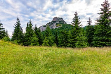 Mala Fatra Slovakya milli parkı Maly Rozsutec dağ. Açık hava etkinlikleri, yürüyüş, trekking için turistik yer. Yaz günü. Büyük kayanın yakınındaki çayır ve orman