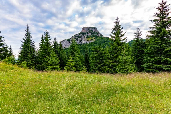 Maly Rozsutec montaña en el parque nacional Mala Fatra Eslovaquia. Destino turístico para actividades al aire libre, senderismo, trekking. Día de verano. Pradera y bosque cerca de roca grande — Foto de Stock