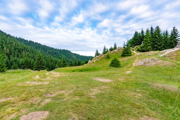 Weide in de buurt van de Maly Rozsutec berg. Target voor toeristen met ruimte voor rust — Stockfoto