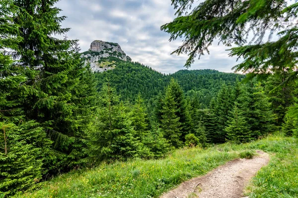 Maly Rozsutec montaña en el parque nacional Mala Fatra Eslovaquia. Destino turístico para actividades al aire libre, senderismo, trekking. Día de verano. Pradera y bosque cerca de roca grande — Foto de Stock