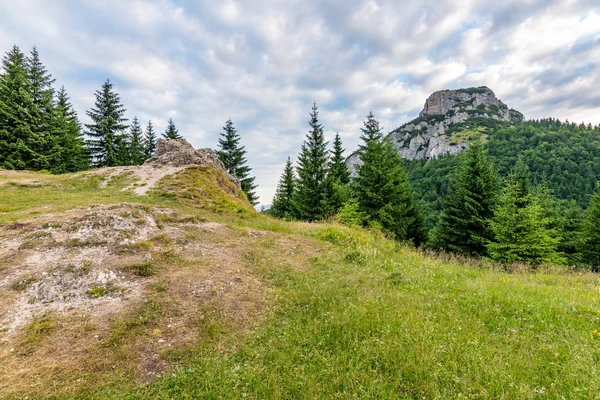 Maly Rozsutec montaña en el parque nacional Mala Fatra Eslovaquia. Destino turístico para actividades al aire libre, senderismo, trekking. Día de verano. Pradera y bosque cerca de roca grande — Foto de Stock