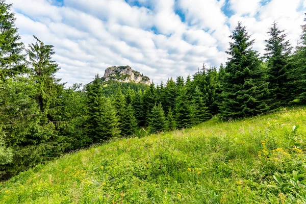 Maly Rozsutec montaña en el parque nacional Mala Fatra Eslovaquia. Destino turístico para actividades al aire libre, senderismo, trekking. Día de verano. Pradera y bosque cerca de roca grande — Foto de Stock