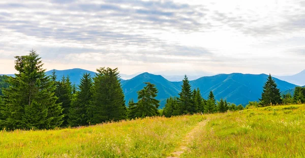 Vista del parque nacional de Mala Fatra, Eslovaquia. Ruta turística cerca de las montañas Maly y Velky rozsutec. Hermoso bosque, árboles y hierba. Color vibrante en la naturaleza fresca — Foto de Stock