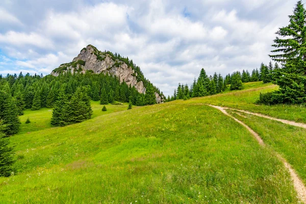 Maly Rozsutec montaña en el parque nacional Mala Fatra Eslovaquia. Destino turístico para actividades al aire libre, senderismo, trekking. Día de verano. Pradera y bosque cerca de roca grande — Foto de Stock