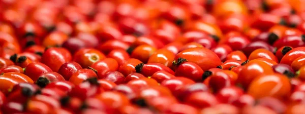 Detail macro view of dog rose hips (latin name Fructus cynosbati) prepared for drying. Dried rose hips are important source of vitamins in alternative medicine. Typical fall berry fruit — Stock Photo, Image