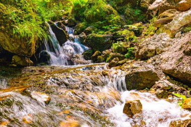 Slovakya Ulusal Parkı 'ndaki güzel saf şelale Mala Fatra - Terchova Köyü yakınlarındaki Janmotosikove Diery. Yeşil ormandaki büyük kayalıklardaki tatlı su akıntısı. Taze doğada güneşli bir yaz günü