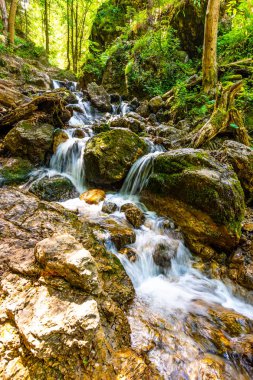 Slovakya Ulusal Parkı 'ndaki güzel saf şelale Mala Fatra - Terchova Köyü yakınlarındaki Janmotosikove Diery. Yeşil ormandaki büyük kayalıklardaki tatlı su akıntısı. Taze doğada güneşli bir yaz günü