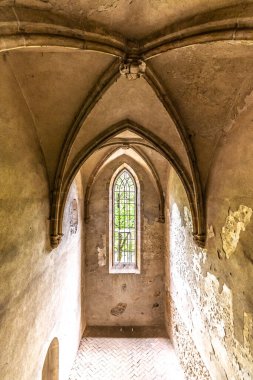 Rosa Coeli Manastırı. Dolni Kounice şehrinin yakınlarındaki eski katolik kadın manastırı harabesi. Din, taştan yapılmış ruhani tarihi olan gotik bir yer. Ortaçağ ve tarih mirası.