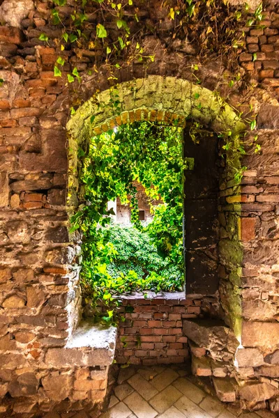 Das Kloster Rosa Coeli Alte Katholische Ruine Eines Frauenklosters Der — Stockfoto