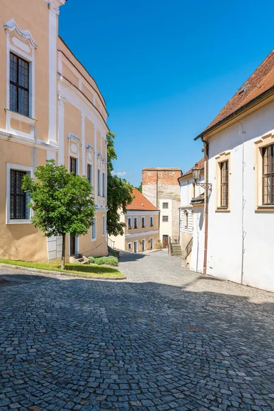 Çek Cumhuriyeti 'nin Mikulov şehrinde romantik bir cadde. Eski binaları, ağaçları olan bir sokak. Yaz günü, mavi gökyüzü.