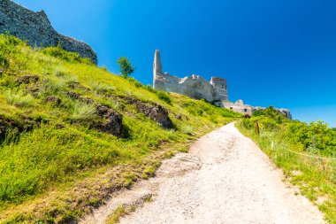 Cachtice Kalesi 'nin eski kalıntıları. Slovakya 'daki tepedeki harabe kale. Kanlı Leydi Bathory efsanelerinden tanınan ünlü ve gizemli bir yer. Yaz günü, manzara..