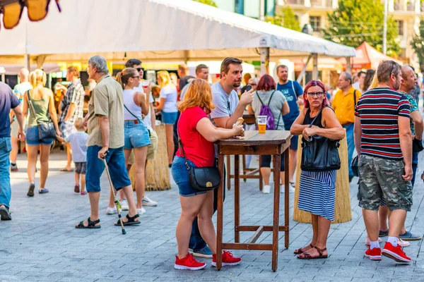 Brno República Checa 2020 Gente Está Visitando Festival Celebración Cerveza —  Fotos de Stock