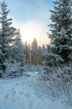 Sumava 'da kar, beyaz karla kaplı ağaçlar ve derin kar yığınlarıyla kaplı, batan güneşin sıcak renkleriyle aydınlanan, sakin bir kış manzarası yaratıyor..