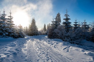 Sumava 'da kar, beyaz karla kaplı ağaçlar ve derin kar yığınlarıyla kaplı, batan güneşin sıcak renkleriyle aydınlanan, sakin bir kış manzarası yaratıyor..