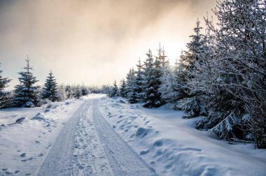 Sumava 'da kar, beyaz karla kaplı ağaçlar ve derin kar yığınlarıyla kaplı, batan güneşin sıcak renkleriyle aydınlanan, sakin bir kış manzarası yaratıyor..
