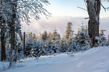 Sumava 'da kar, beyaz karla kaplı ağaçlar ve derin kar yığınlarıyla kaplı, batan güneşin sıcak renkleriyle aydınlanan, sakin bir kış manzarası yaratıyor..