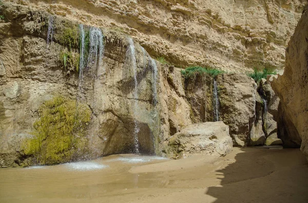 Tamerza Oázis Csodálatos Vízesésekkel Legnagyobb Hegyi Oasis Tunéziában Természet Utazás — Stock Fotó