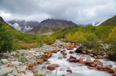 Sonbahar renkleri. Azgın dağ nehir, çok renkli orman ve olan buzul güzel görünümünü. Doğa ve seyahat. Georgia, Svaneti bölgesi, Mestia, Ushguli