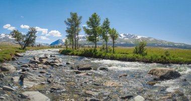 Mongolian Altai. Scenic view of the raging mountain river. High water. Spring run-off. Nature and travel. Mongolia, Bayan-Olgii Province, Altai Tavan Bogd National Park clipart