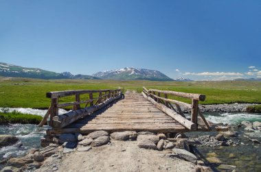 Mongolian Altai. Log bridge through the raging mountain river. High water. Spring run-off. Nature and travel. Mongolia, Bayan-Olgii Province, Altai Tavan Bogd National Park clipart