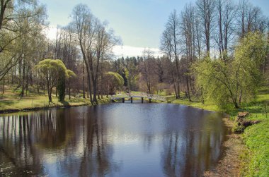 Güneşli bir gün. Güzel bahar manzara. Beyaz ahşap yaya köprüsü üzerinden su birikintisi. Doğa ve seyahat. Pskov Oblast, Rusya tarihi Puşkin yerler