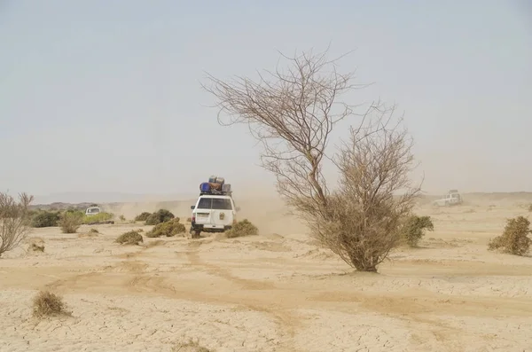 Travel across Africa. Driving through the desert and lava field on the way the Danakil Depression. The lowlands are affected by heat, drought, and minimal air circulation, and contain the hottest places of anywhere on Earth. Ethiopia, Afar Triangle