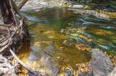 Bin Lingas Vadisi. Yoni, Linga ve diğer rakamlar rakamlar nehir yatağı Kbal Spean kayaların oyulmuş. Hindular ve Budistler için kutsal bir yer. Kamboçya, çevre Angkor, Phnom Kultur Milli Parkı