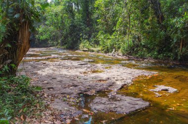 Bin Lingas Vadisi. Yoni, Linga ve diğer rakamlar rakamlar nehir yatağı Kbal Spean kayaların oyulmuş. Hindular ve Budistler için kutsal bir yer. Kamboçya, çevre Angkor, Phnom Kultur Milli Parkı