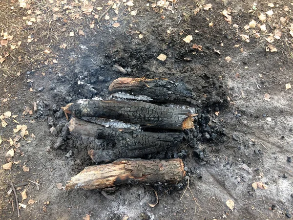 firewood, Coals and ash after the fire in the forest. Untold fire