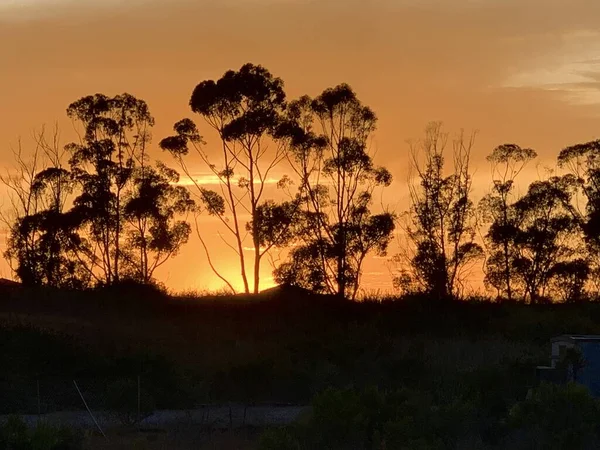 Amazing sunset on Goleta street in Santa Barbara