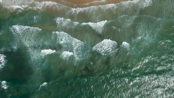 파도는 해변의 해안에 — 비디오