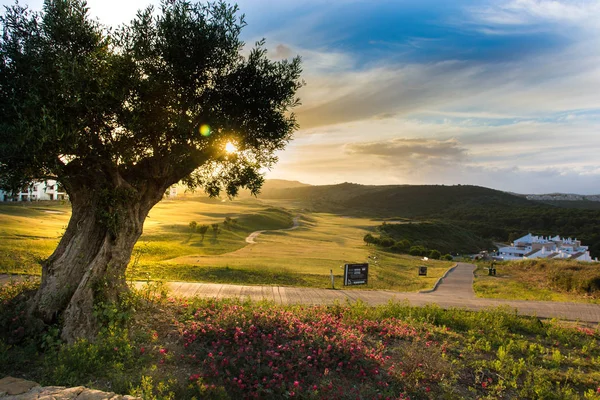 Endülüs'te Akdeniz kulübünde golf yeşili