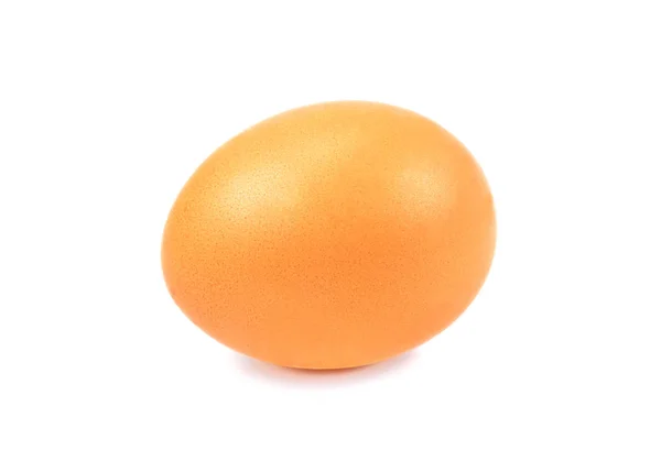 Telur Ayam Tunggal Pada Latar Belakang Putih — Stok Foto