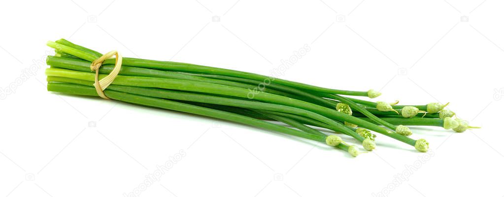 Chives flower or Chinese Chive isolated on white background
