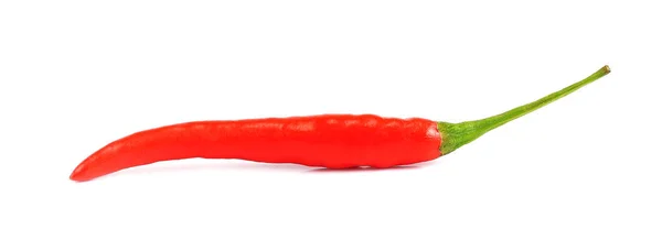 Röd Chili Peppar Vit Bakgrund — Stockfoto