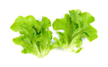 Beyaz arkaplanda taze marul izole edildi 