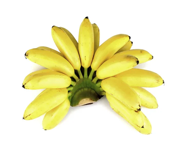 Bando de bananas de bebê isoladas em fundo branco . — Fotografia de Stock