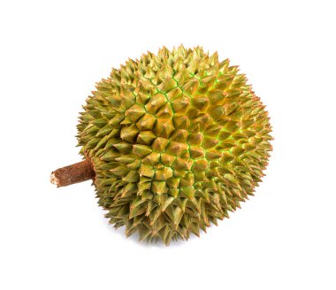 İzole edilmiş arka planı olan taze Durian meyvesi. Meyve kralı 