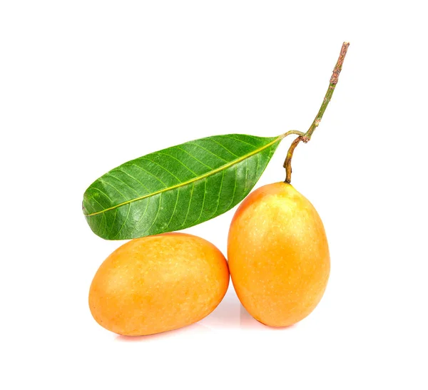 Süße Marianische Pflaume Thailändische Frucht Isoliert Auf Weißem Hintergrund — Stockfoto