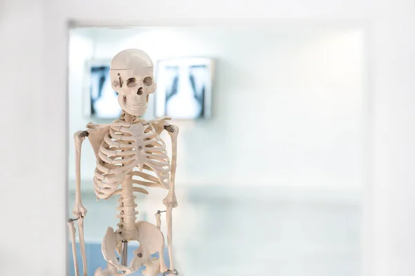 Laboratorio Ciencias Con Esqueleto Humano — Foto de Stock