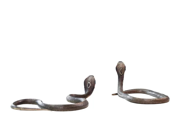 Cobra Sfondo Bianco — Foto Stock