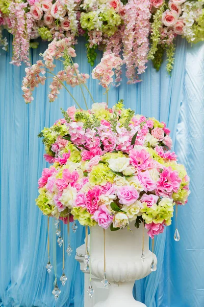 Krásně Naaranžované Květiny Barevné Pozadí — Stock fotografie
