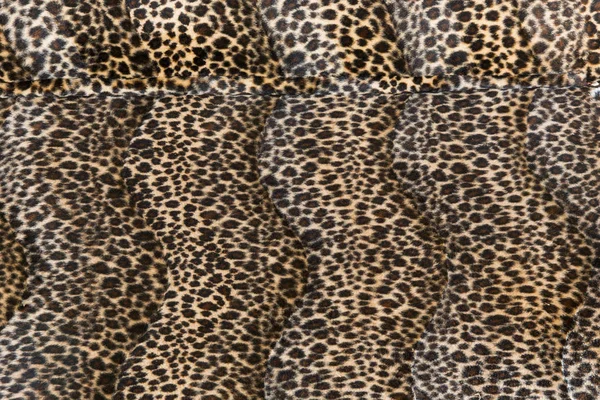 美丽豹子皮肤背景 — 图库照片