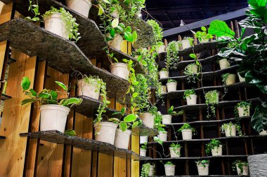 güzel ağaç süs Bahçe