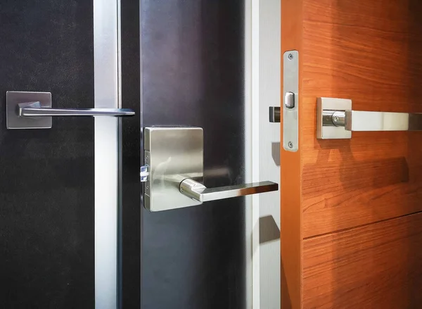 Modern tarz kapının kolu Doğal Tarih