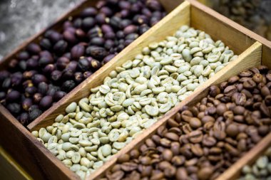 kahve çekirdekleri ile RAW için İtalyan kızartma kavurma çeşitli aşamalarında gösterilen