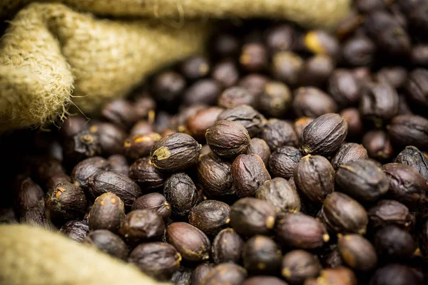 Dried Berries Coffee Beans — Stock Photo, Image