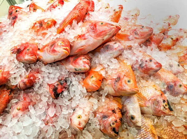 Холодная свежая рыба, продаваемая в супермаркетах — стоковое фото