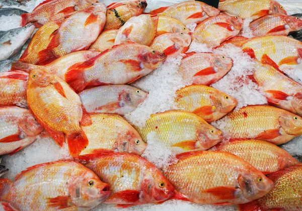 Холодная свежая рыба, продаваемая в супермаркетах — стоковое фото