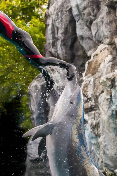 Los Delfines Realizan Espectáculos Saltos Con Entrenador — Foto de Stock